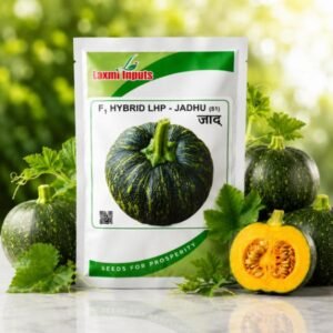 LHP-Jadhu F1 Hybrid Pumpkin Laxmi Inputs (50 GM)