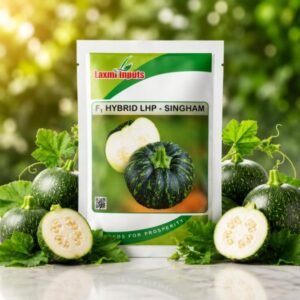 LHP-Singham F1 Hybrid Pumpkin Laxmi Inputs (50 GM)