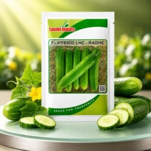 LHC-Radhe F1 Hybrid Cucumber Laxmi Inputs (800 Seeds)