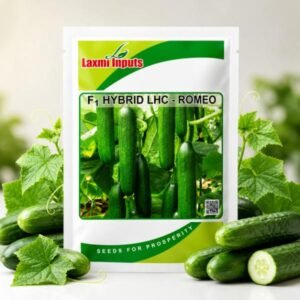 LHC-Romeo F1 Hybrid Cucumber Laxmi Inputs (10 GM)