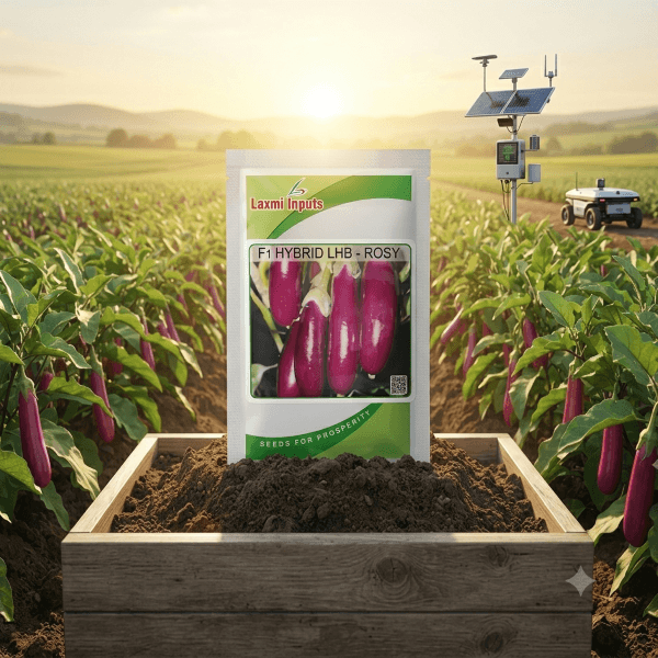LHB-Rosy Brinjal F1 Hybrid Laxmi Inputs (10 GM)