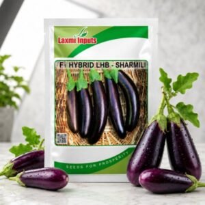 LHC-Johny F1 Hybrid Cabbage Laxmi Inputs (10 GM)