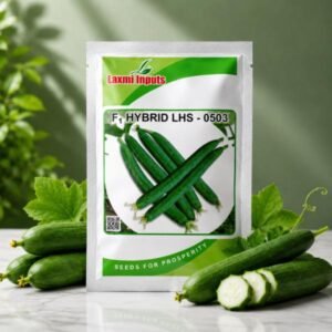 LHS-0503 F1 Hybrid Sponge Gourd Laxmi Inputs (50 GM)