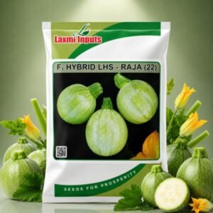 LHS-Raja(22) F1 Hybrid Squash Laxmi Inputs (50 GM)