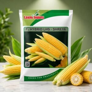 LHS-Shreya F1 Hybrid Sweet Corn Laxmi Inputs (250 GM)