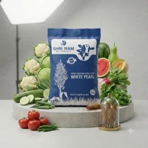 White Pearl Hybrid Sorghum Sudan Grass Shri RAM (5kg)