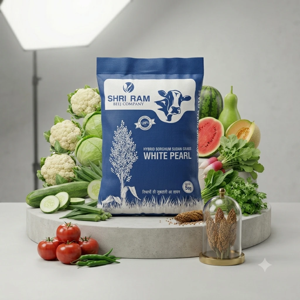 White Pearl Hybrid Sorghum Sudan Grass Shri RAM (5kg)