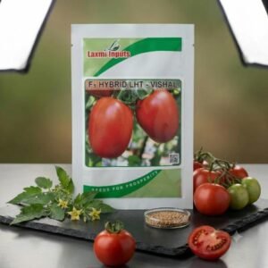 LHT-Vishal F1 Hybrid Tomato Laxmi Inputs (10 GM)