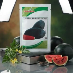 LHW-Plus Doctor F1 Hybrid Watermelon Laxmi Inputs (50 GM)