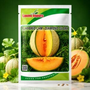 LHM-Diamond Glory F1 Hybrid Muskmelon Laxmi Inputs (50 GM)