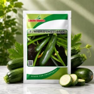LHS-Janak F1 Hybrid Squash Laxmi Inputs (10 GM)
